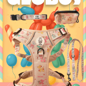 PACK SET TRAIL GLOBOS