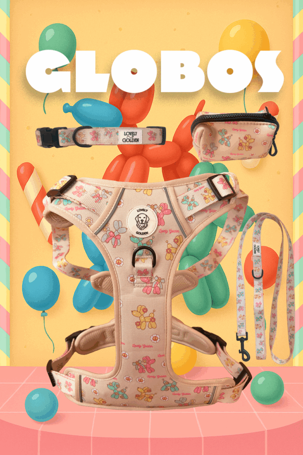 PACK SET TRAIL GLOBOS