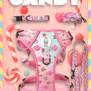 PACK SET TRAIL CANDY
