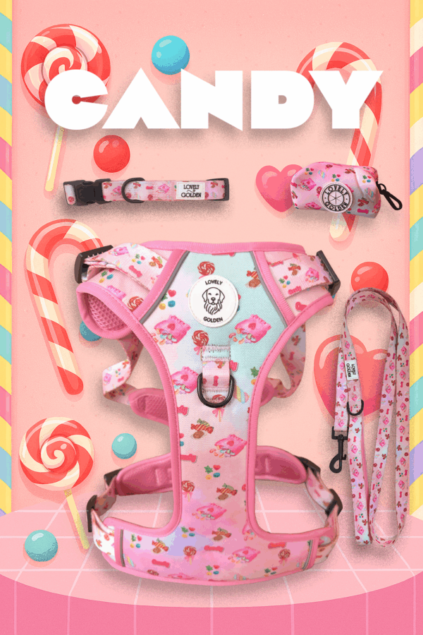 PACK SET TRAIL CANDY