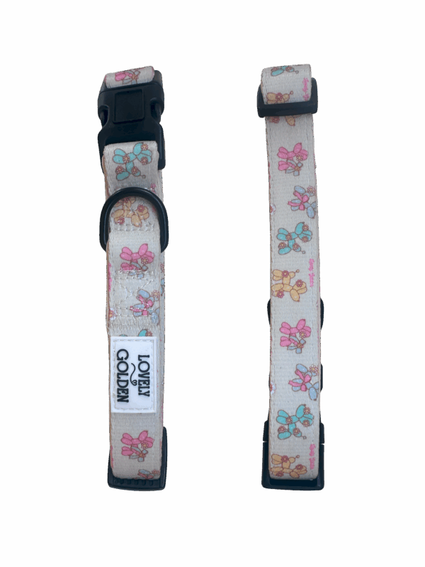 COLLAR TRAIL GLOBOS