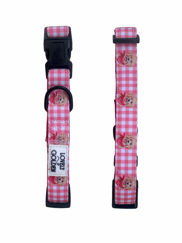 COLLAR TRAIL CUADROS