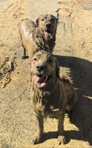 2 conjuntos acuáticos