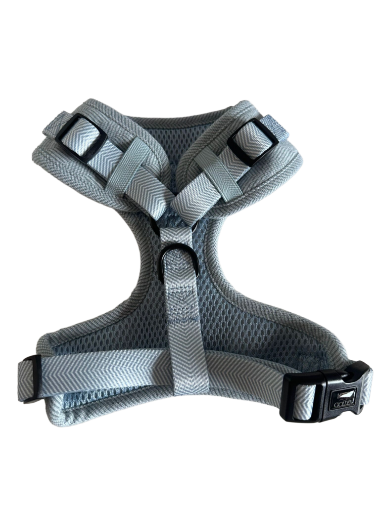 AJUSTABLE DESERT PAW