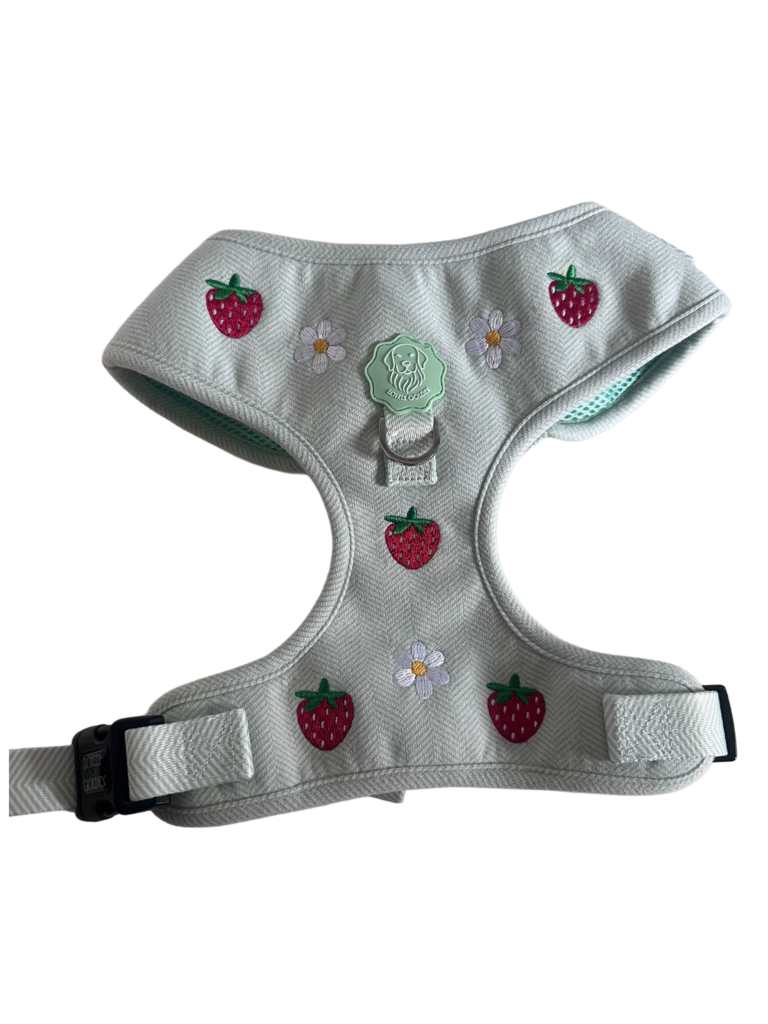 AJUSTABLE BERRY BLOSSOM