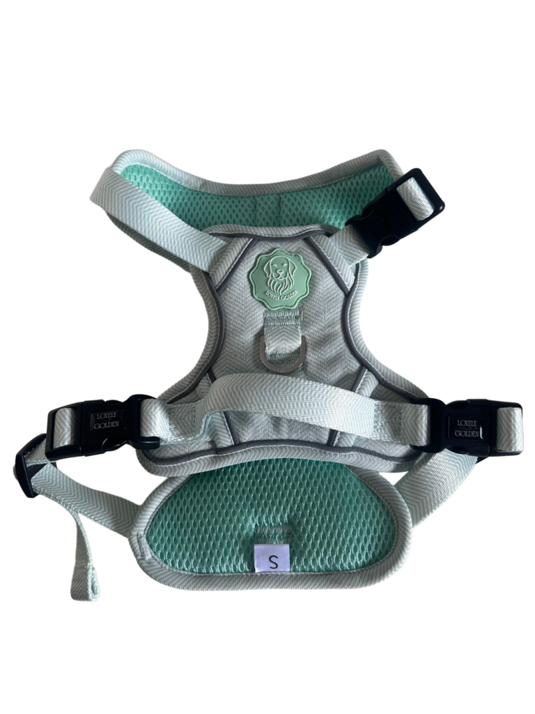 ARNES TRAIL BERRY BLOSSOM