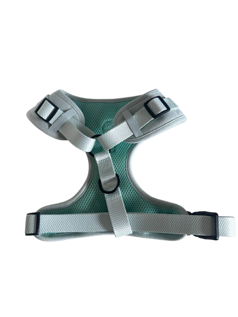 AJUSTABLE BERRY BLOSSOM