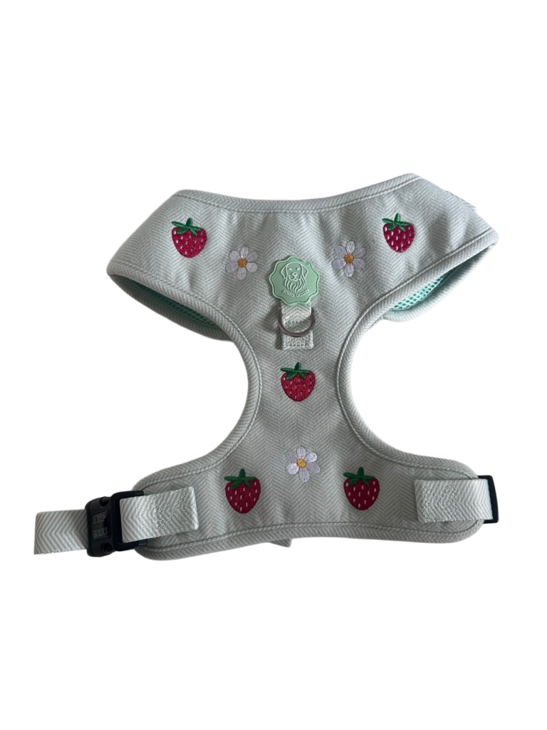 PACK SET AJUSTABLE BERRY BLOSSOM