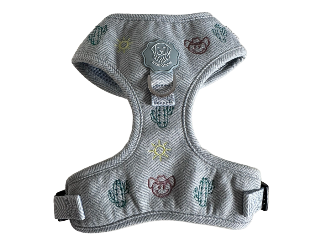 AJUSTABLE DESERT PAW