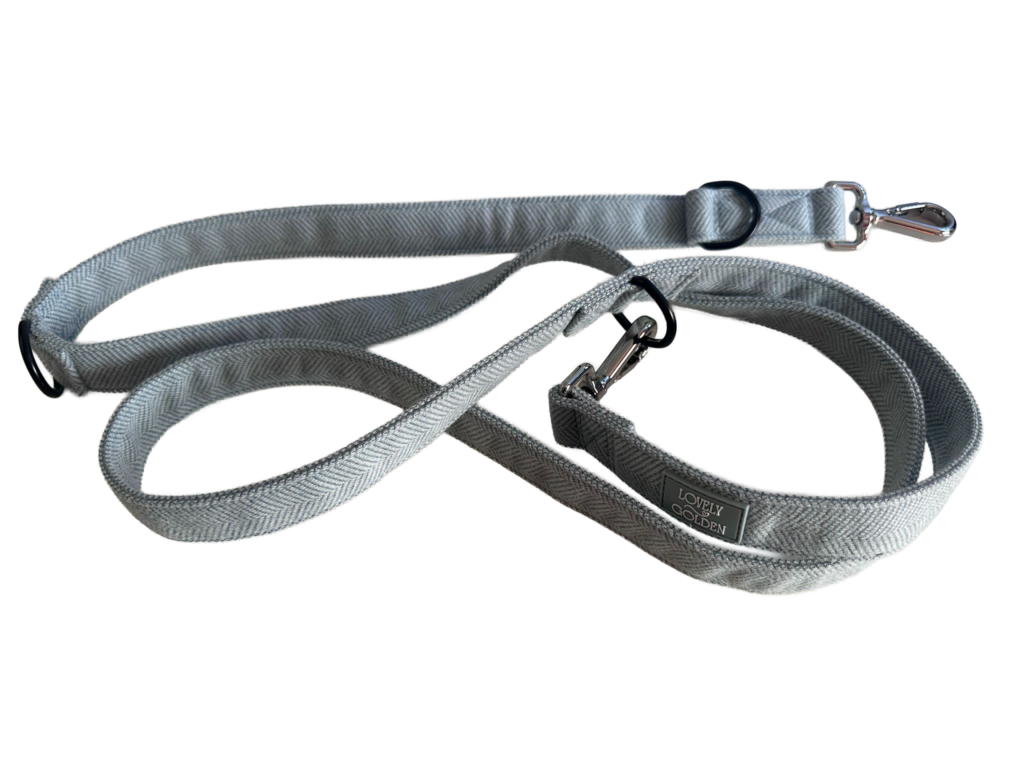 CORREA DESERT PAW MULTI