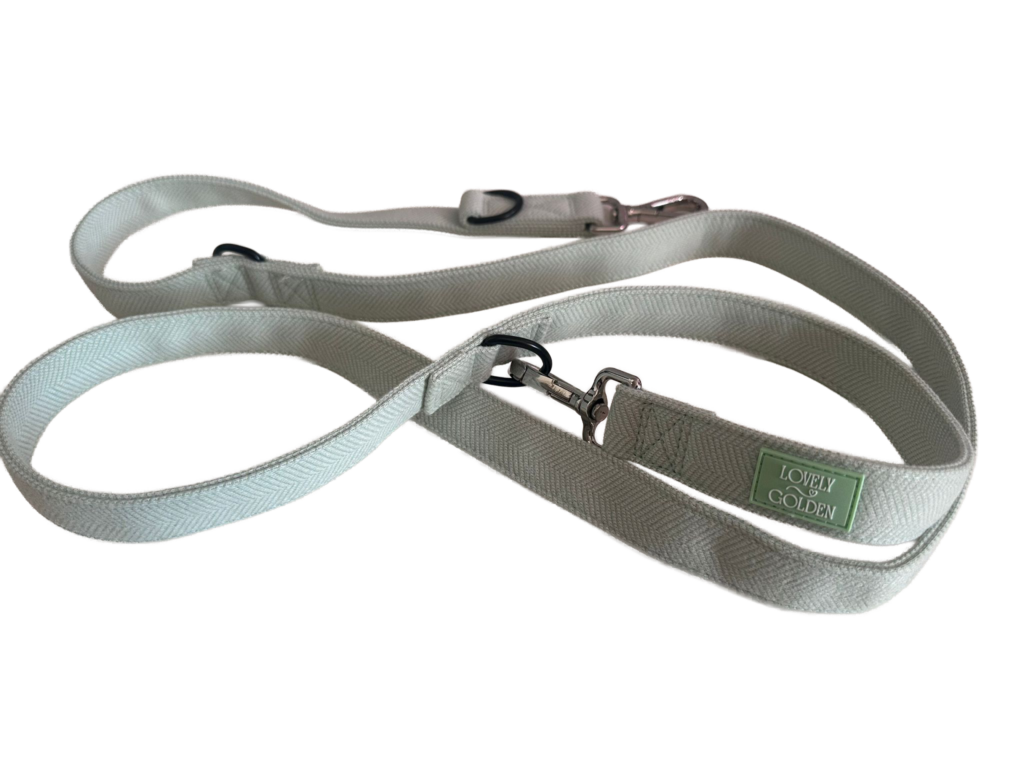 CORREA BERRY BLOSSOM MULTI