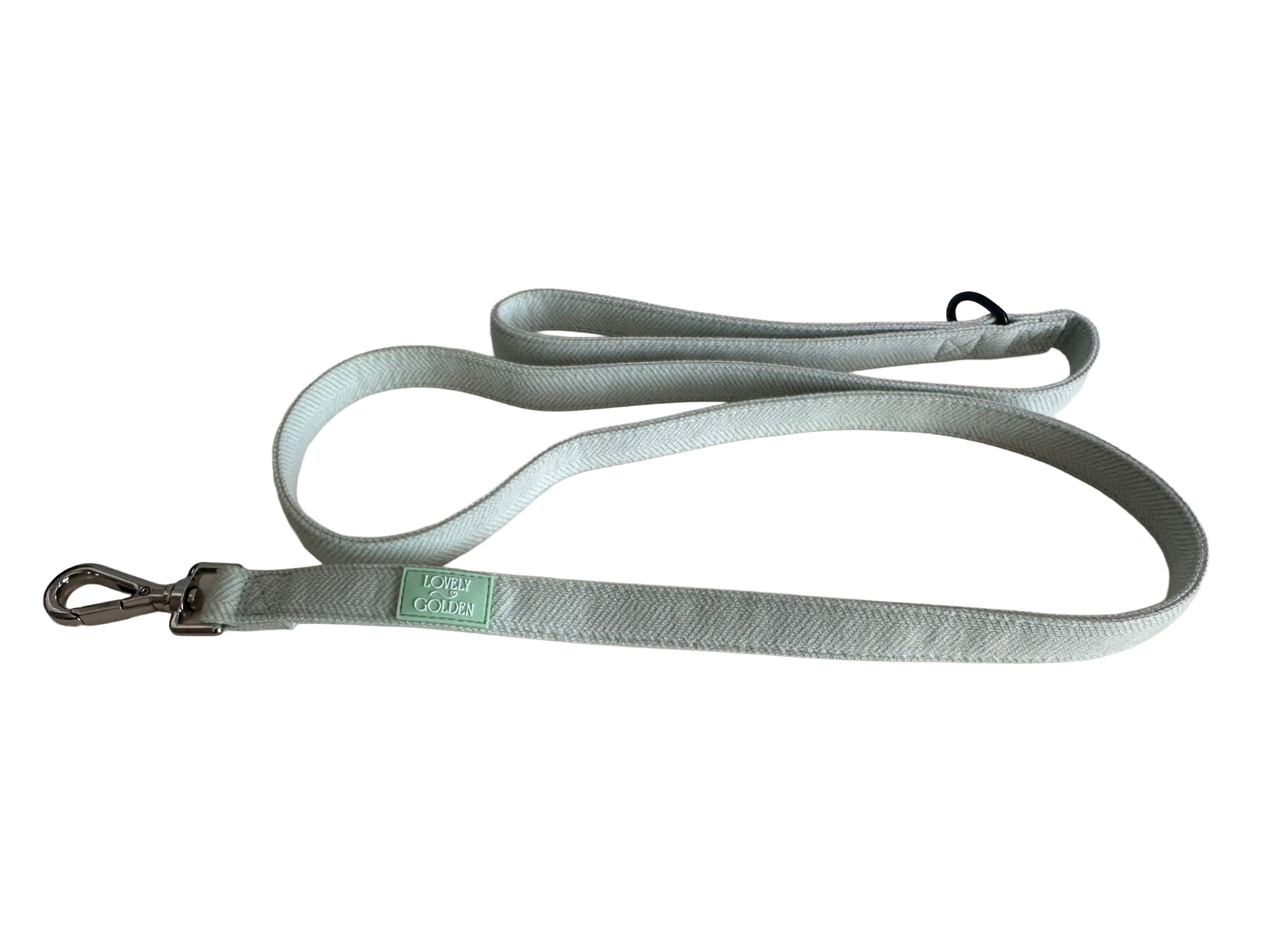 CORREA BERRY BLOSSOM