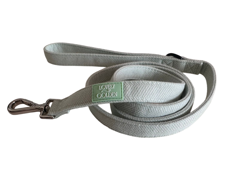 CORREA BERRY BLOSSOM