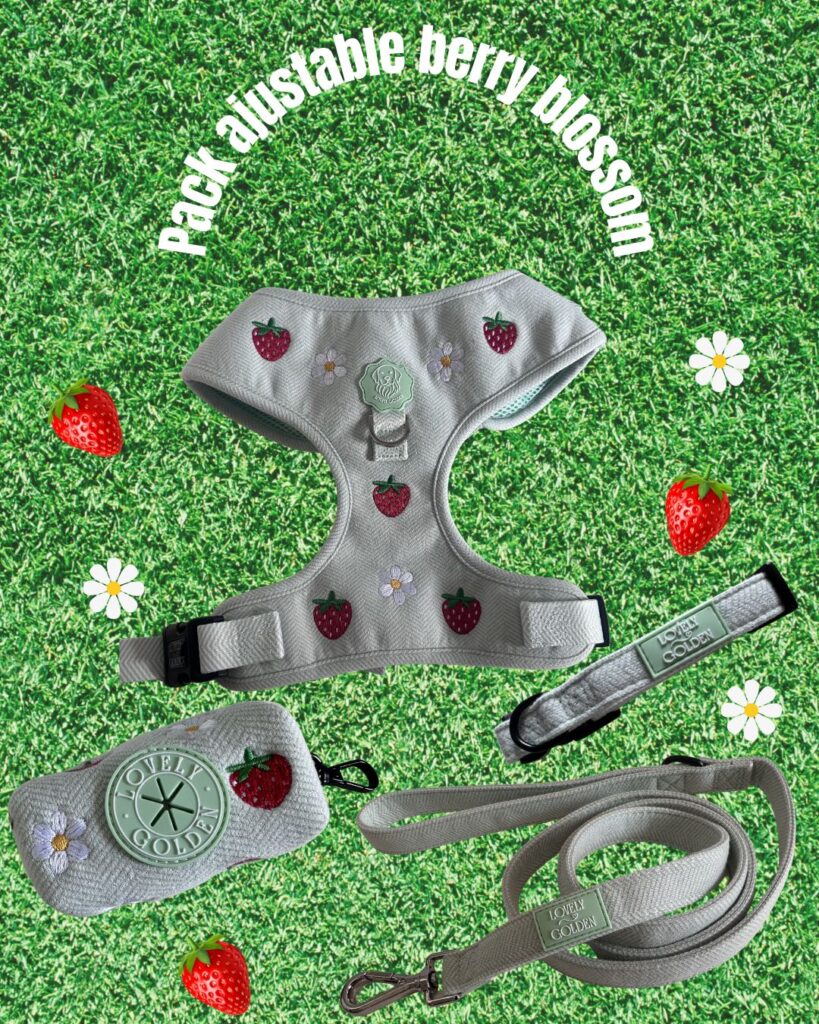 PACK SET AJUSTABLE BERRY BLOSSOM