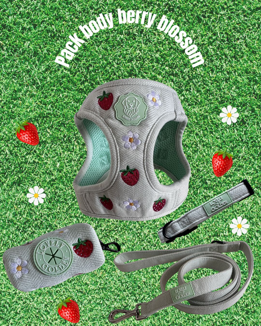 PACK SET BODY BERRY BLOSSOM