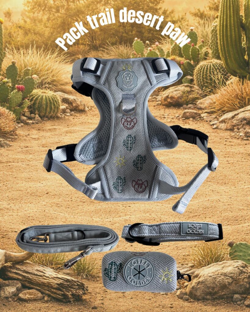 PACK SET ARNES DESERT PAW